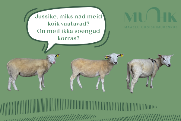 Suvi möödus nii kiirelt, et Jussike ei jõudnud õieti sabagi väristada, kui juba oli sügis käes. Lehed langesid, vihmapiisad tantsisid katusel ja õhk oli täis ni