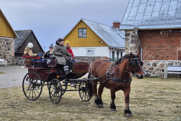 Jõulutrall Toris 2025