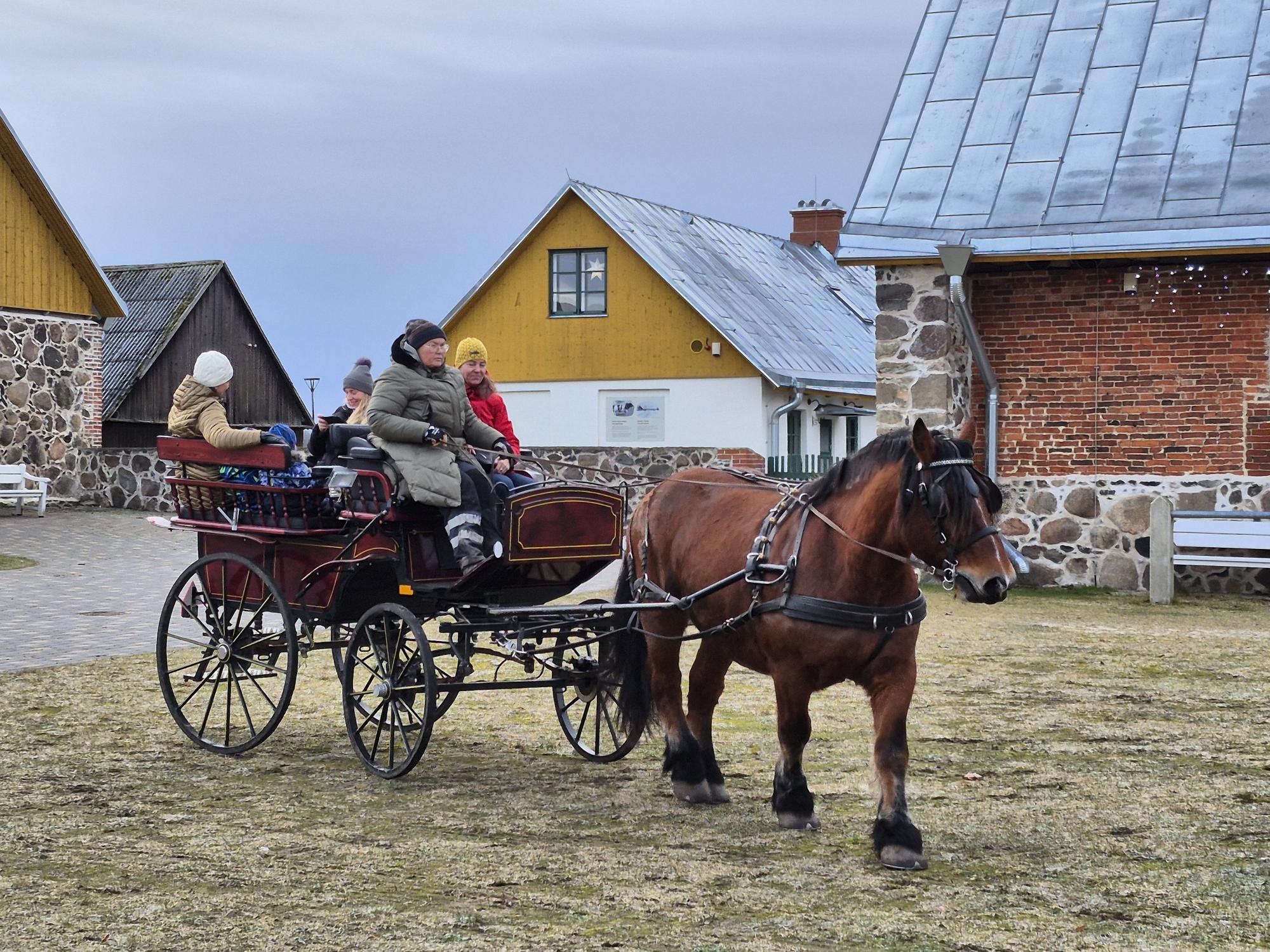 Detsember on Tori Hobusekasvanduses möödunud tegusalt ja rõõmsas meeleolus. See on aeg, mil korraldatakse traditsiooniliselt jõuluväljasõite ja meie ootame küla
